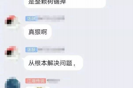 城子河专业催债公司的市场需求和前景分析